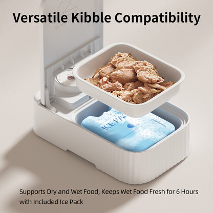 Pet Single Meal Feeders 48h Temporizador Ice Crystal Box