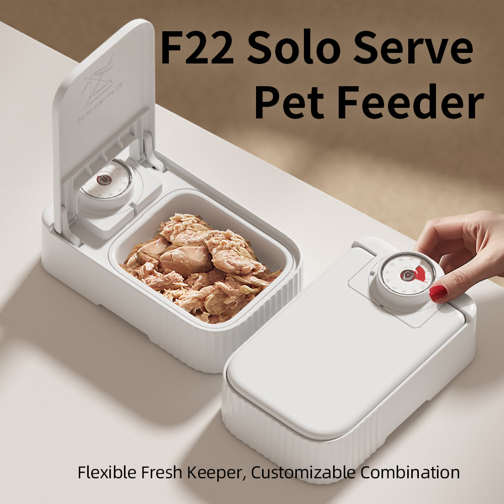 Pet Single Meal Feeders 48h Temporizador Ice Crystal Box