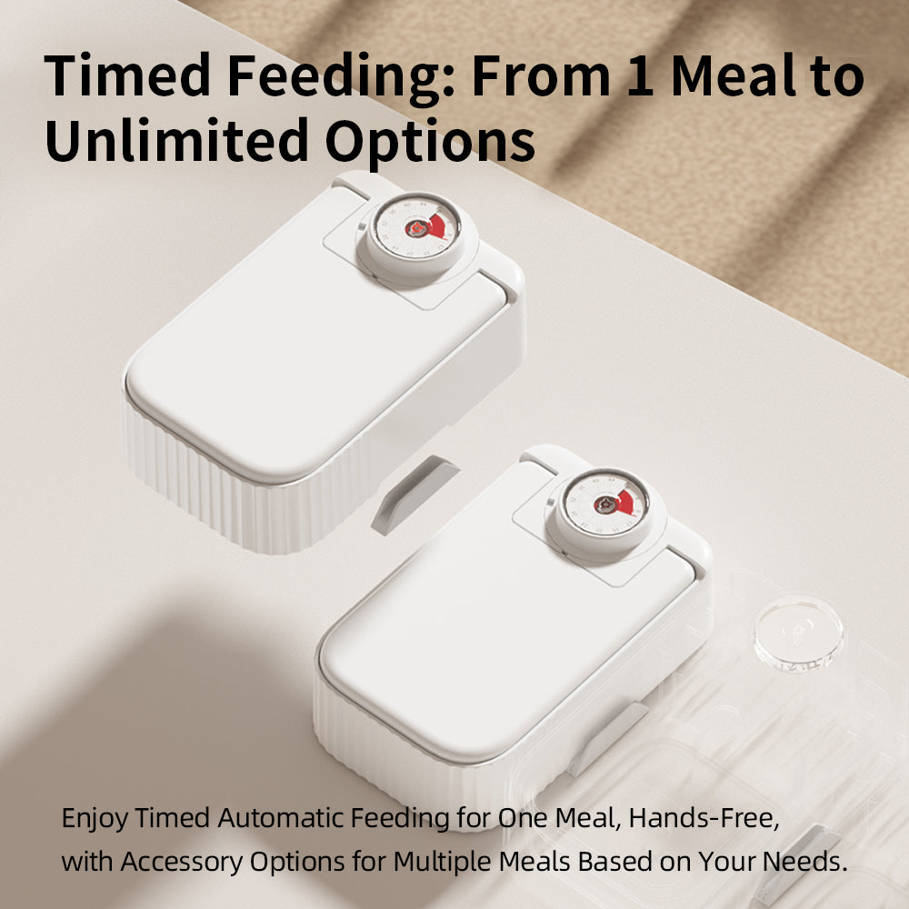 Pet Single Meal Feeders 48h Temporizador Ice Crystal Box