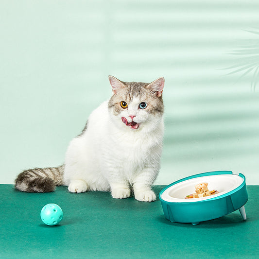 Cat Disposable Food Bowl Replaceable Portable Bowl