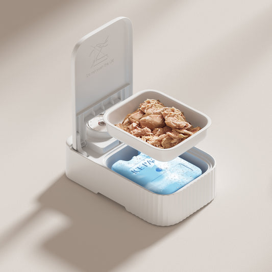 Pet Single Meal Feeders 48h Temporizador Ice Crystal Box